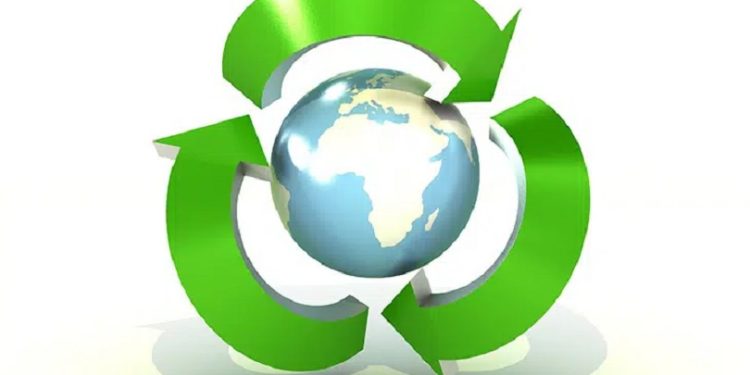 Mikä on bioremediaatio?